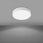 AS45-o450mm-Schermo-opale