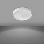 ASM45-o450mm-Schermo-microprismatico